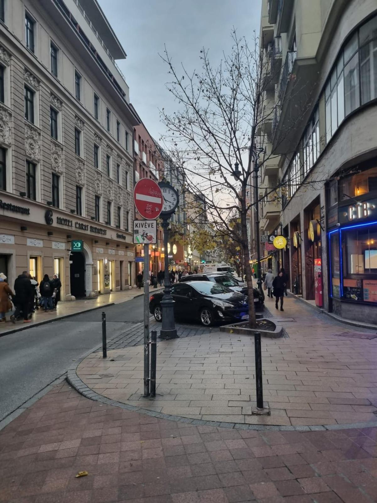 Danube Dwelling Asboth 19-1 Apartman Budapest Kültér fotó