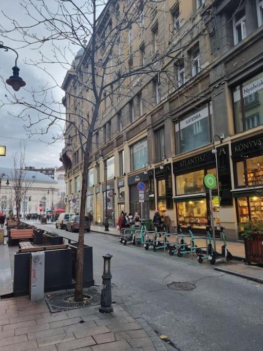 Danube Dwelling Asboth 19-1 Apartman Budapest Kültér fotó